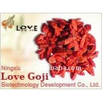 Bayas de Goji(2013 NEW CROP)